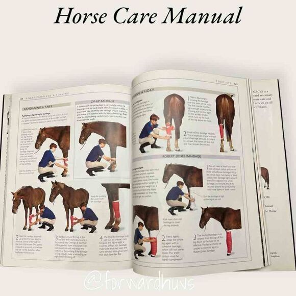 Complete Horse Care Manual - Hard Cover - Picture 6 of 9